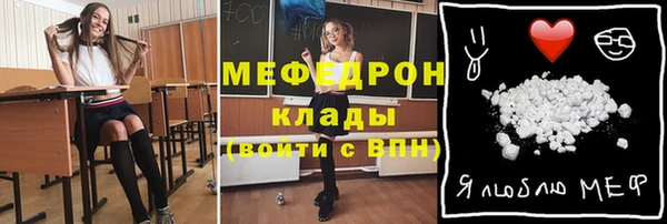 шишки Инта