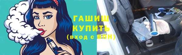 шишки Инта