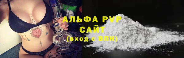 шишки Инта