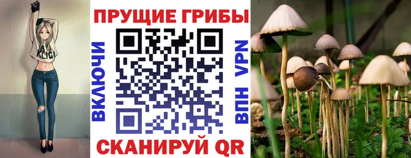 Галлюциногенные грибы ЛСД  Купить  Камешково 